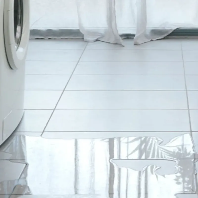Appliance Leak Cleanup in Franksville, WI