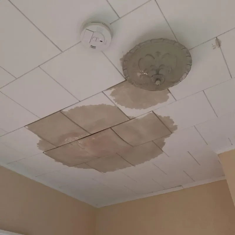 Ceiling Water Damage Repair in Franksville, WI