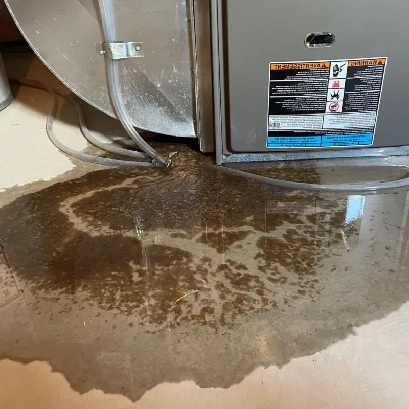 Pipe Burst and Leak Restoration in Franksville, WI